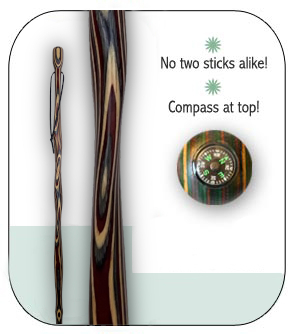 View of Hiking Stick